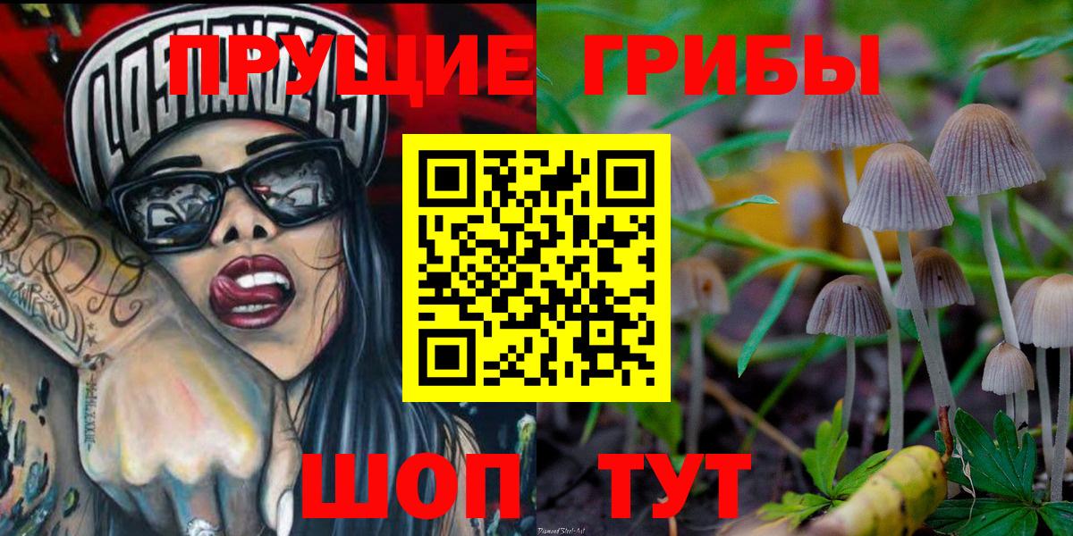 Дмитров  Псилоцибиновые грибы Psilocybine cubensis  Вход с VPN 