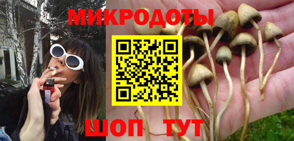 Галлюциногенные грибы Cubensis Дмитров