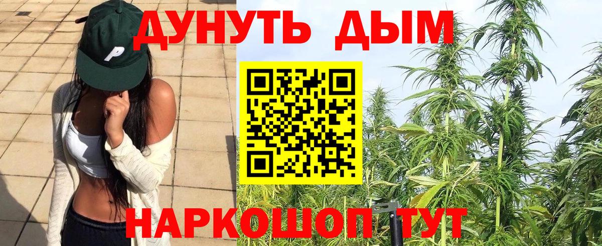 Конопля White Widow Дмитров